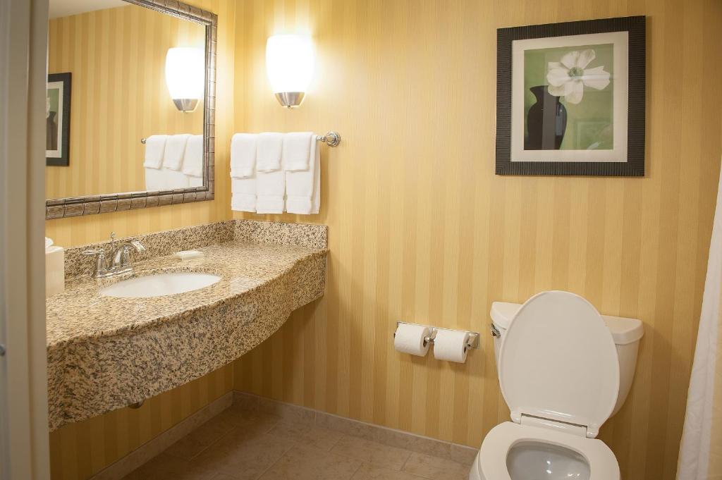 Hilton Garden Inn Pensacola Airport/Medical Center image 8